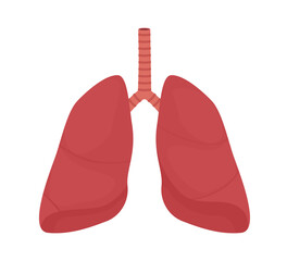 Lungs human icon. Vector illustration of human internal organ isolated on white background.