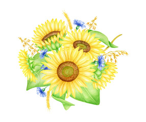 Sunflowers with cornflowers and spikelets drawing, watercolor illustration. Fall bouquet clipart. Bunch of yellow and blue flowers isolated on white background for wedding, design, cardsm printing.