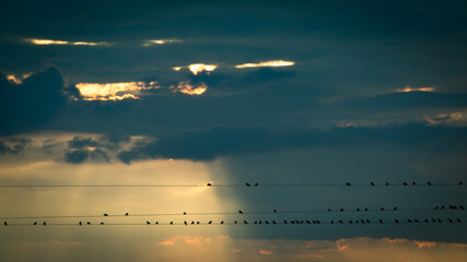 Nature © Marcin