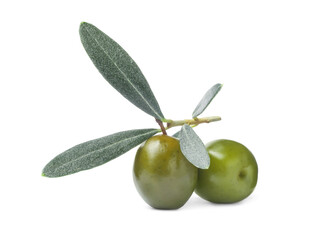 Delicious fresh green olives with leaves on white background