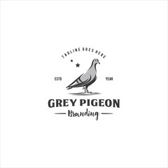 Pigeon Dove Bird Vintage Logo Design Vector Image
