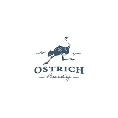 Ostrich Bird Logo Design Vector Image