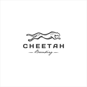Cheetah Cat Line Art Logo Design Vector Image
