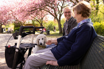 Seniorin sitzt mit Tochter im Frühling mit Tochter auf einer Bank im Park und freut sich über deren Hund