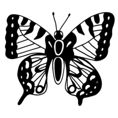 Swallowtail butterfly line illustration. Doodle monochrome sketch of insect. Funny cute morpho drawing. Vector artwork