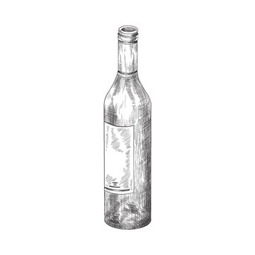Hand drawn wine bottle with label, sketch etched vector illustration isolated.