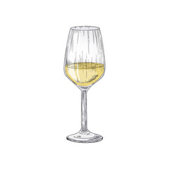 Glass with white grape wine or champagne a vector illustration isolated on white
