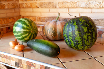 Garden gifts. Pumpkin and two watermelons. Near long zucchini..