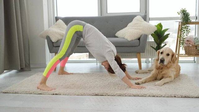 Young girl in sport outfit doing yoga downward facing dog exercise at home with golden retriever dog. Stretching workout, adho mukha svanasana pose in sunny room