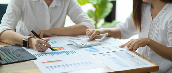 Young female employee working with senior female manager on financial project