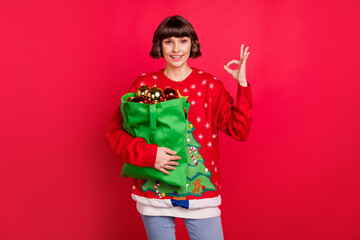 Portrait of attractive cheerful girl holding bag toys showing ok-sign advert ad isolated over red color background
