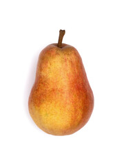 洋ナシ　レッドバート