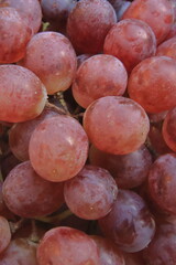 Uva rossa, Red grapes