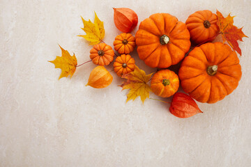 Autumn framework from pumpkins, berries and leaves on a travertine background. Concept of Thanksgiving day or Halloween.