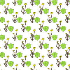 Seamless pattern with coltsfoot