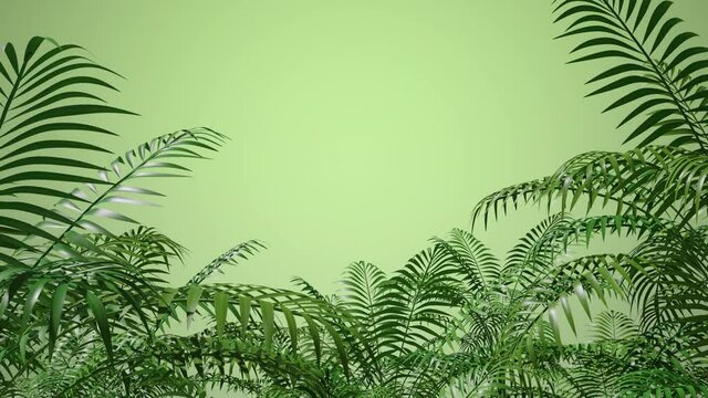 Leaves, grass, branches. Blowing wind effect. Botanical floral frame. Zoom out. Green background. Nature. Tropical plants. Spring, summer mood. Seasonal clip. 3D Render 4K animation 