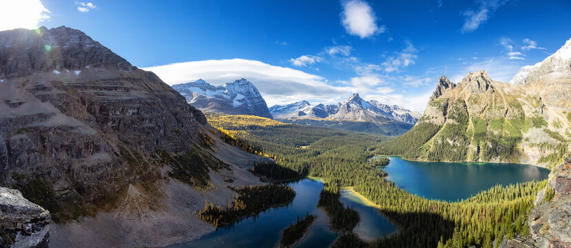 Panoramic View of Glacier Lake with Canadian Rocky Mountains in Background. Sunny Fall Day. Located in Lake O'Hara, Yoho National Park, British Columbia, Canada. Nature Panorama © edb3_16