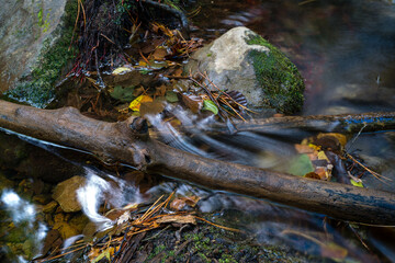 river detail with fallen branch rocks moss and autumn leaves,
aiguafreda catalonia, spain