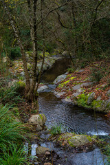 Naklejka na ściany i meble rocky river flowing through forest in autumn, figaro catalonia, spain