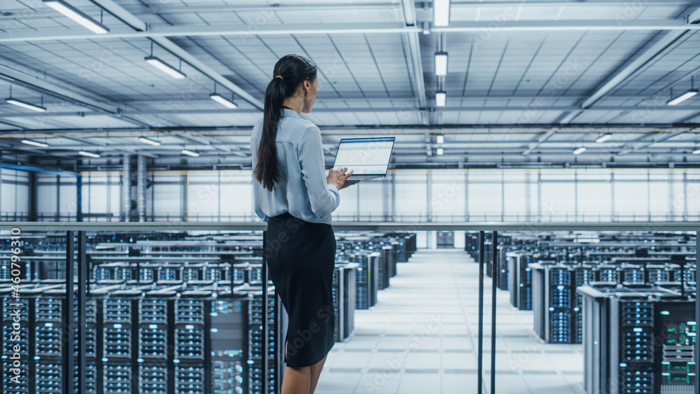 Poster Data Center Engineer Using Laptop Computer. Server Farm Cloud Computing Specialist Facility with Multiethnic Female System Administrator Working with Data Protection Network for Cyber Security.