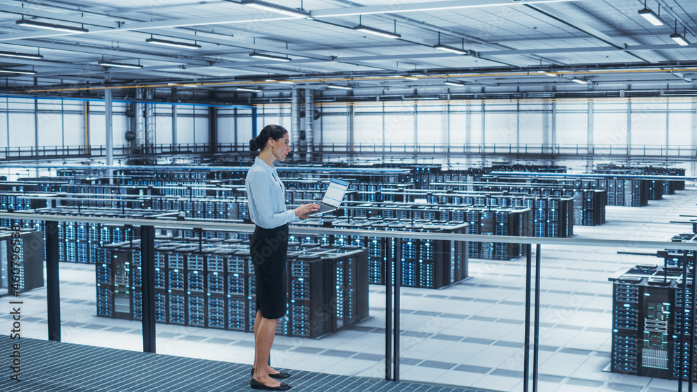 Poster Data Center Engineer Using Laptop Computer. Server Farm Cloud Computing Specialist Facility with Multiethnic Female System Administrator Working with Data Protection Network for Cyber Security.