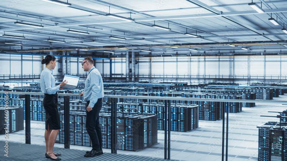 Poster Data Center Female System Administrator and Male IT Specialist Talk, Use Laptop. Information Technology Engineers work on Cyber Security Network Protection in Cloud Computing Server Farm.