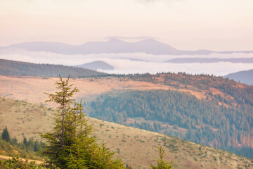 Fototapeta premium Carpathian mountains