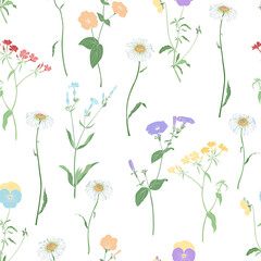 White background with wildflowers. Seamless vector pattern