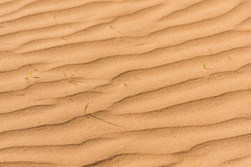 Fototapeta na wymiar Ripple sand dunes texture background. Desert, sandy waves.