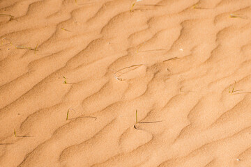 Ripple sand dunes texture background. Desert, sandy waves.