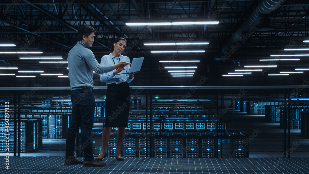 Poster Data Center Female System Administrator and Male IT Specialist Talk, Use Laptop Computer. Information Technology Engineers work on Cyber Security Network Protection in Cloud Computing Server Farm.