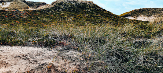 Shot of a hill with dry gra © Bastian Giebel/Wirestock