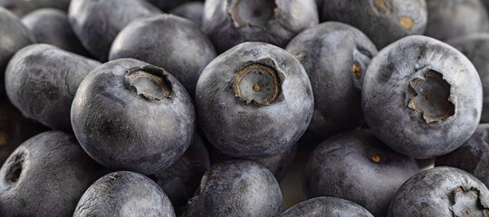 Image of ripe blueberry close-up. The berries and leaves are used for medicinal purposes.