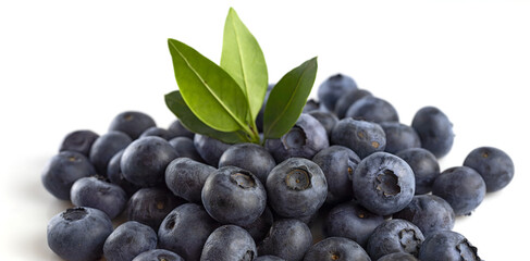Image of ripe blueberry close-up. The berries and leaves are used for medicinal purposes.