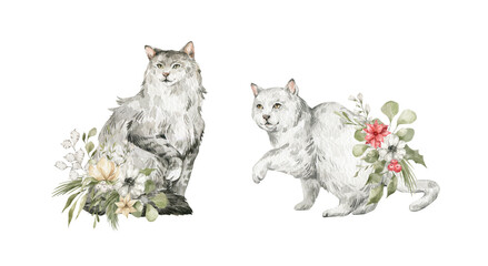 Watercolor with cute cats and winter foliage. white and gray cat, pine, leaves. Red Christmas flowers. Winter set with home pet. Cute domestic animals