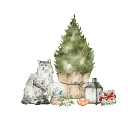 Watercolor illustration with white cat and Christmas tree. Winter aesthetic, domestic pet in Santa hat, present box, lantern, oranges. Holiday decoration and cute animal.