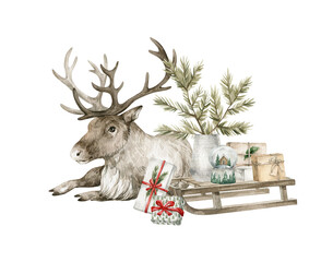 Watercolor illustration with reindeer, Christmas pine branch, sleigh. Winter aesthetic, wild animal, present boxes, snowball. Holiday decoration and cute forest wild animal. © Kate K.
