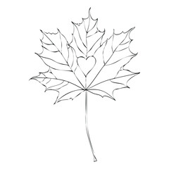 Vector illustration of a maple leaf. Maple concept with a heart carved in the center. Autumn element for composition. Linear illustration of a decorative leaflet. Maple leaf as a symbol of Canada.