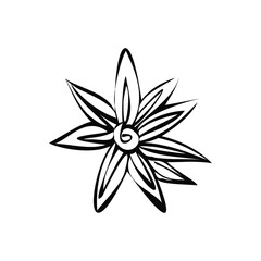 Vector illustration of star anise. Ingredient for desserts. Star anise as aromatherapy. Linear illustration of star anise, seasoning in dishes.