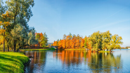 Bright autumn landscape with State Museum Reserve Gatchina. Sunny panoramic autumn view of the...