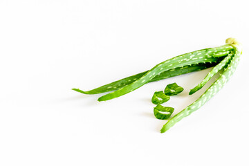 Fototapeta premium Aloe vera green leaf plant isolated on white