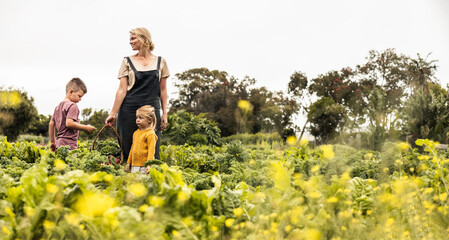 Woman harvesting fresh vegetables with her children