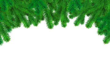 Fir branches border isolated on white background. Vector