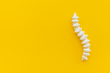 Healthy human spinal column skeleton model. Top view