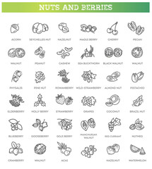 web icons collection - nuts and berries. Vector symbols