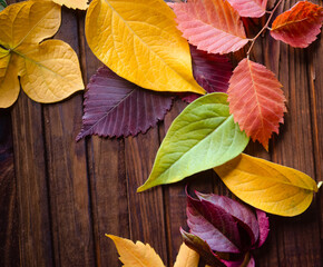 Autumn background, red, yellow, green leaves on a wooden brown background	