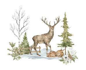 Watercolor winter composition with deers and frosty nature. Wild animal, evergreen trees, pine, snow.   