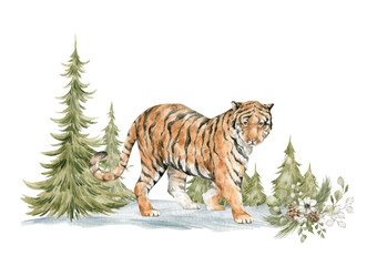 Watercolor winter composition with red tiger and frosty nature. Wild animal, evergreen trees, pine, snow.   