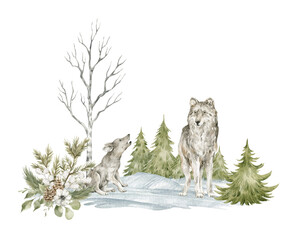 Watercolor winter composition with grey wolfs and frosty nature. Wild animal, evergreen trees, pine, snow.   