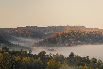 Naklejka na ściany i meble Der Oktober wird nicht umsonst der Goldene Oktober genannt. Das Zusammenspiel von Nebel, dem Licht der Goldenen Stunde und den Farben des Herbstes, ergeben solche wunderbare Anblicke.